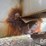 willmar-600-image-10