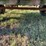 papec-tandem-axle-silage-wagon-image-20