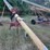 westfield-8-x-35-auger-with-220-electric-motor-image-3