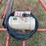 7-x-46-westfield-auger-with-like-new-baldor-220-electric-motor-image-5