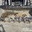2022-bobcat-t76-image-11