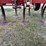 international-chisel-image-2