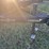 mandako-model-t4030-vertical-tillage-image-3