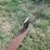 #29337-•-ram-splitter-skid-steer-hyd-wood-splitter-image-6