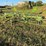 krone-5.52/4x7t-4-basket-tedder-image-2