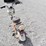 electric-scooter,-two-seater,-image-5