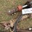 (2)-hydraulic-rams-image-3