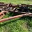 28’-chisel-plow-image-11