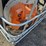quantity-of-2-cycle-equipment-image-5