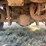 2002-ford-f350-image-14