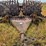 #21146-•-dual-drum-sheeps-foot-image-35