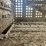 merritt-cattle-pot-image-8