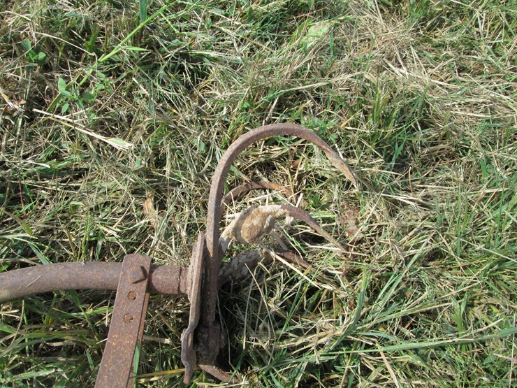 #29245-•-hand-cultivator-image-3