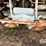 dry-spreader-buggy-(dr12301-unit-5)-image-15
