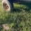 tandem-axle-hay-wagon-as-is-image-9