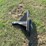 #29258-•-mini-skid-steer-trailer-mover-image-2