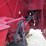 new-holland-664-image-13