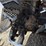 2015-volvo-vnm64t200-image-31