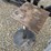 industrial-pedestal-base-stand-image-1