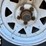 2007-haulmark-t/a-12ft.-enclosed-trailer-image-4