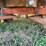 papec-tandem-axle-silage-wagon-image-14