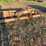 8'-3pt-a-&-b-yard-box-image-3