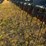 mandako-model-t4030-vertical-tillage-image-43