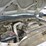 2005-ford-f550-image-34