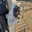 2011-bobcat-t770-image-11