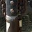 2008-gooseneck-28’x6’-t/a-livestock-trailer-image-10
