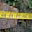 #108-•-set-of-42"-pallet-forks-image-6