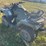 2013-honda-rancher-trx420fm1-atv--non-runner-image-6