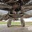 2018-raven-viper-image-24