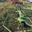 krone-5.52/4x7t-4-basket-tedder-image-12