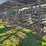 gea-id-boxes,-west-felia-surge-feeders-image-23