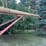 10-x-61-westfield-auger-with-mechanical-swing--hopper-image-10