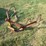 #29223-•-1-row-cultivator-image-1