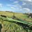 8-bottom-jd-plow,-hydraulic-shares-image-5