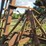 #29348-•-18’-do-all-image-7