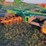 jd-17.5’-soil-management-ststem-ripper-disk-image-44