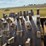 #21146-•-dual-drum-sheeps-foot-image-40