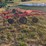 kuhn-10-wheel-speed-rake-image-10