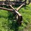 28’-chisel-plow-image-7