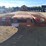 2015-red-rhino-gooseneck-trailer-30'-image-5