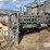 honeyville-receiving-leg-(dr12314)-image-5