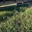 tandem-axle-hay-wagon-as-is-image-10