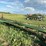 8-bottom-jd-plow,-hydraulic-shares-image-4