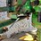 john-deere-3040-image-60