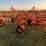 54’-bourgault-chisel,-12”-space,-heavy-harrows,-note:-hitch-slightly-bent-in-one-spot,-doesn’t-affect-performance-of-machine-as-hitch-is-floating.-image-4