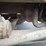 2016-kenworth-t370-image-118